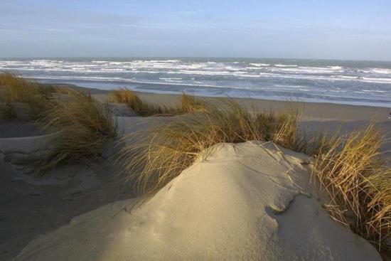 Cote Dune Le Crotoy Exterior photo